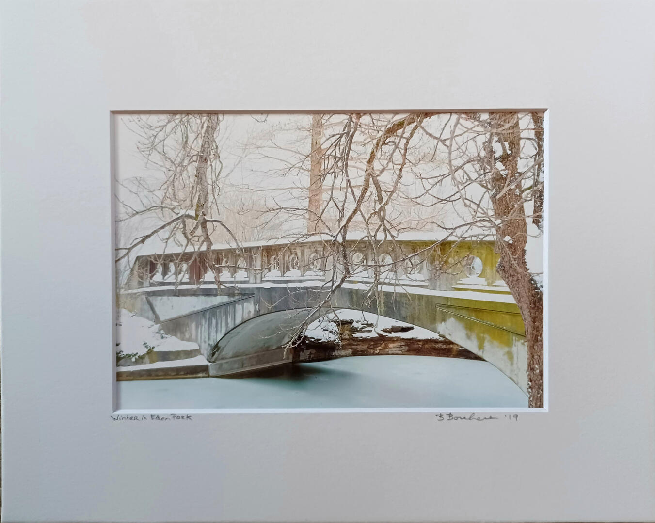 Frosty Winter In Eden Park, Cincinnati, 2019